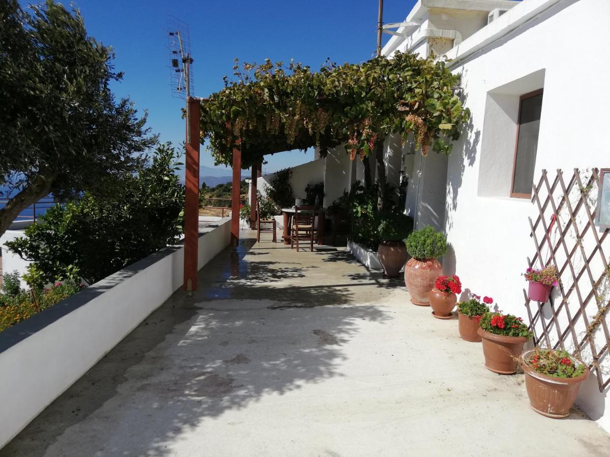 Lorentzia House 2 ! Aprovaton